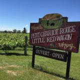 Pontiac County Wine & Cider Tour
