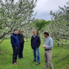Touring Farmgate cider's orchard